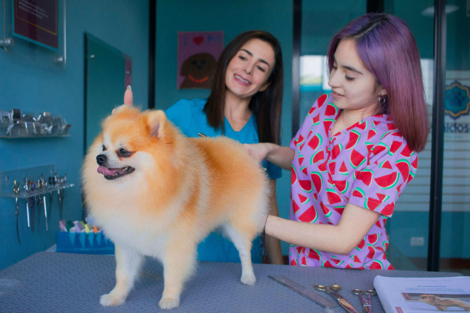 Pet Grooming Academy Vanidosos